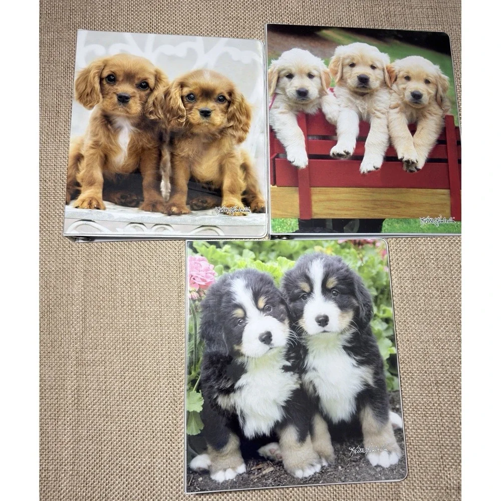 Vtg Class Act Binder Lot Puppy Keith Kimberlin 1